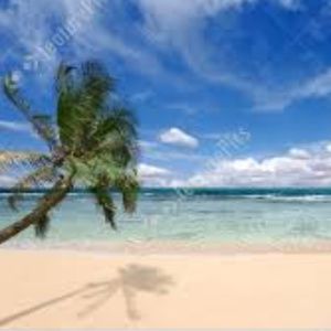 Meet your Posher, Forsof